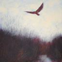Flying March Hawk thumbnail